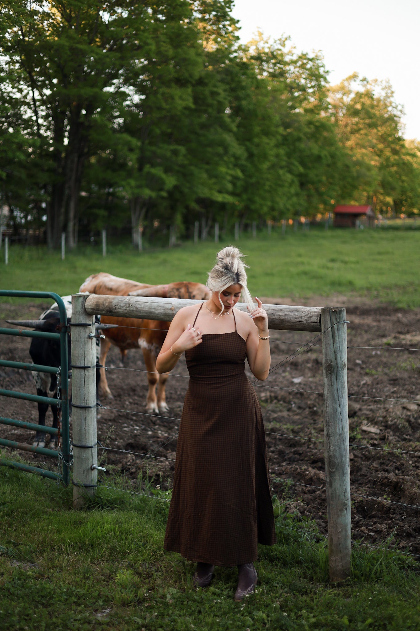 Homestead Gingham Maxi Dress - Brown