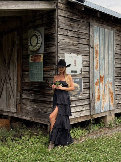 Meadow Muse Ruffle Dress - Black