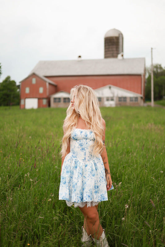 Sky & Petals Lace Mini Dress