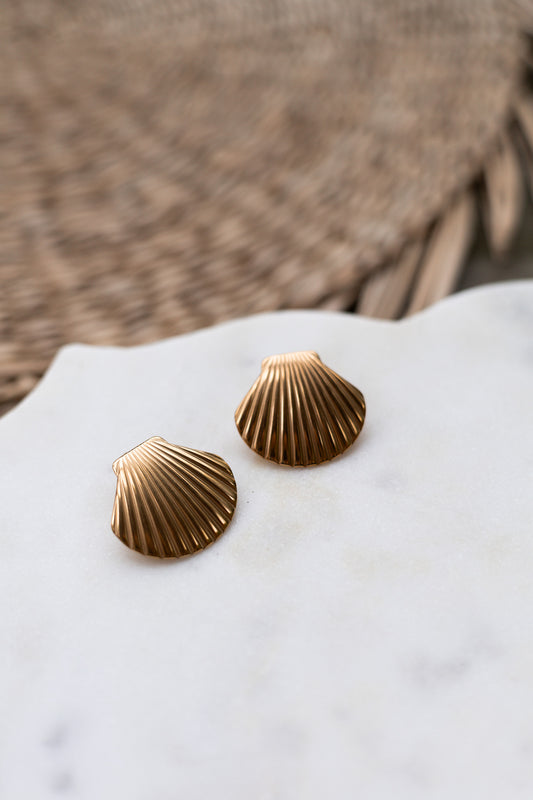 Seashell Stud Earrings - Gold