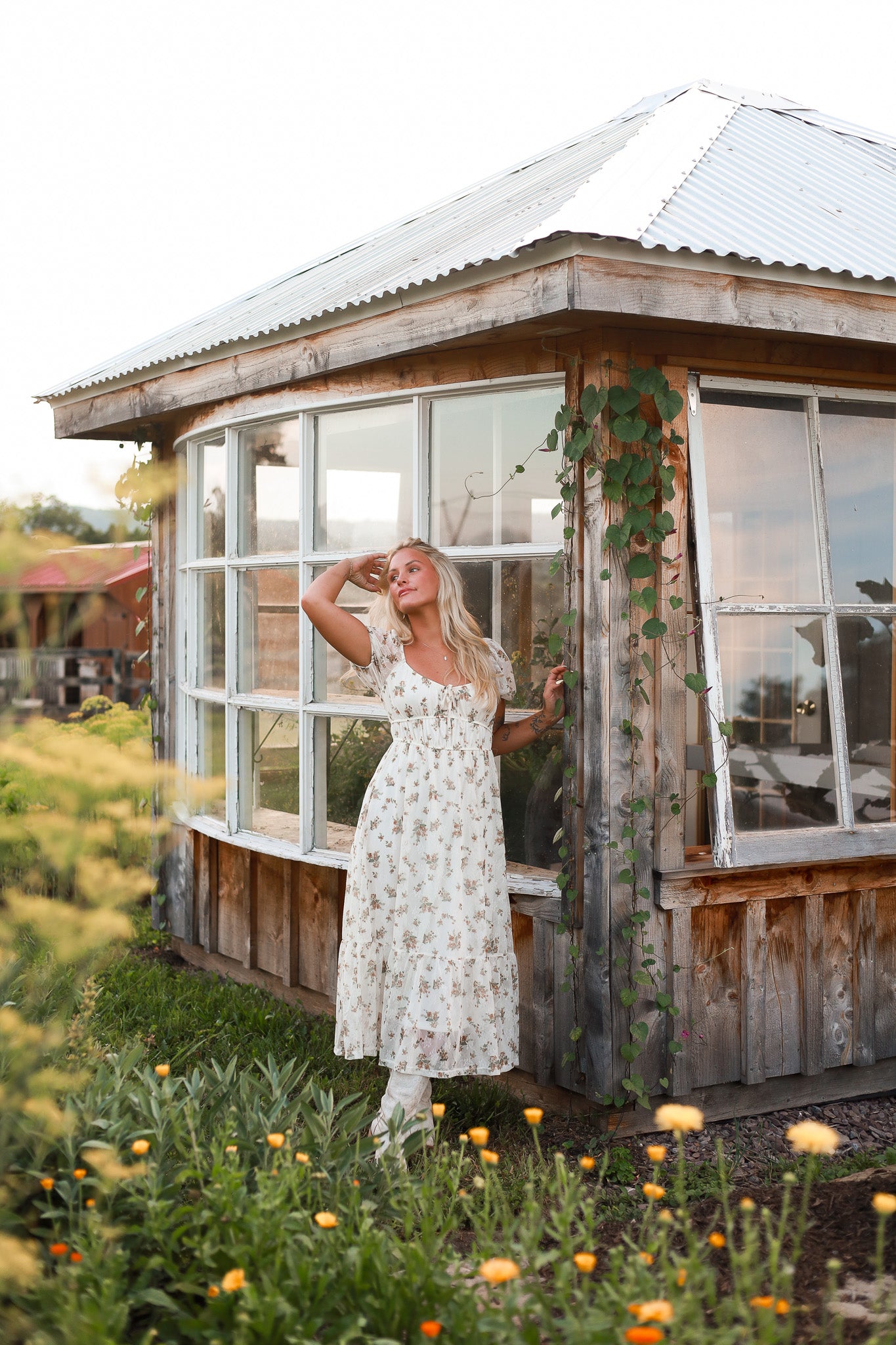 Cottonwood Maxi Dress