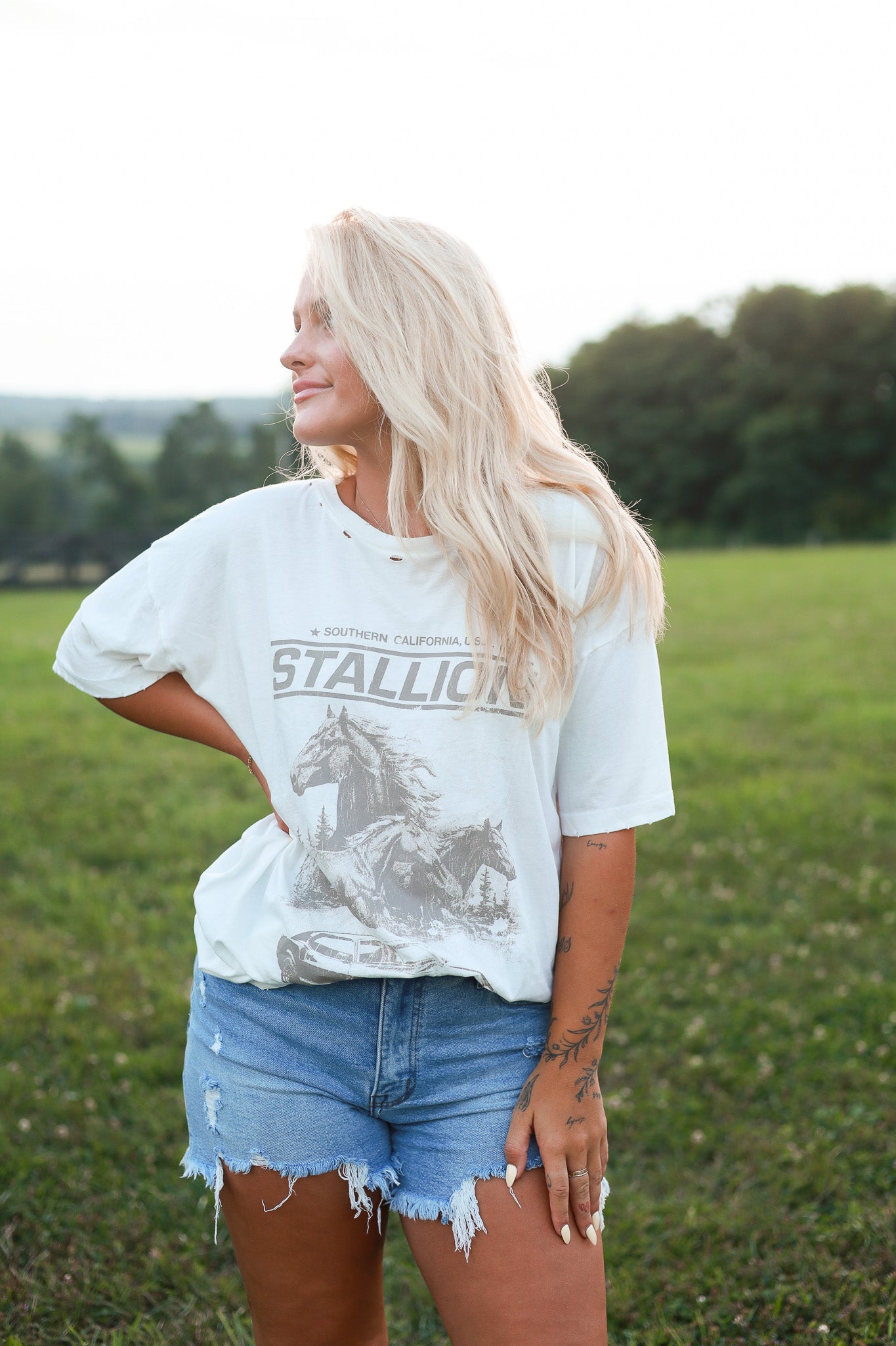 Southern Stallion Graphic T-Shirt