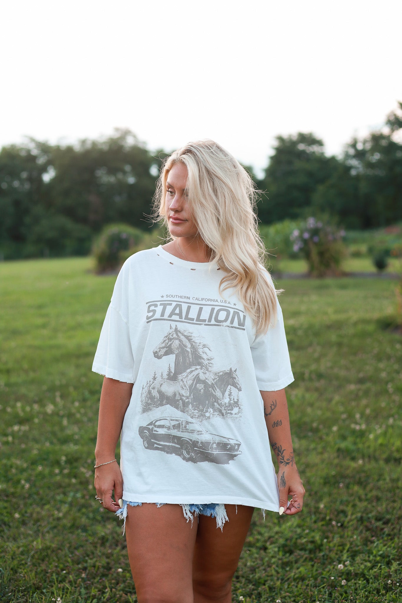 Southern Stallion Graphic T-Shirt