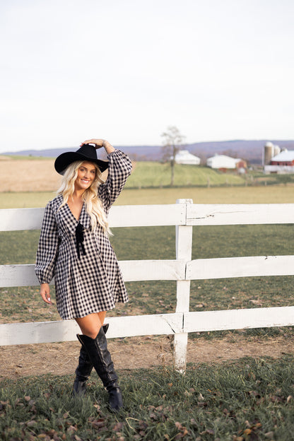 Dreaming Of Gingham Mini Dress