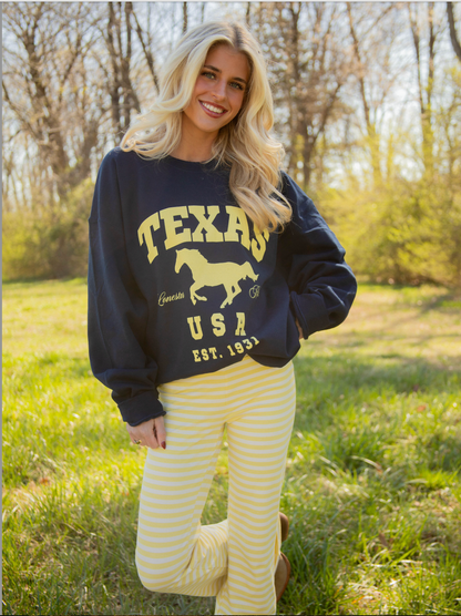 Texas Lonestar Ranch Top
